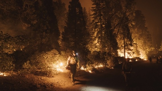 COLFAX, CA - SEPTEMBER 14: A firefighter lights a controlled burn during the Mosquito Fire on September 14, 2022 in Foresthill, California. The Mosquito fire has became California�s largest wildfire of the year. Eric Thayer/Getty Images/AFP(AFP)