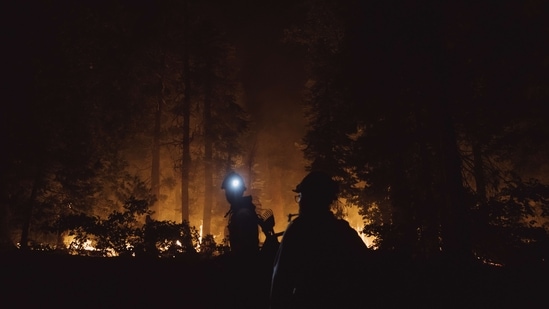 The Mosquito Fire, which started on September 6, spread nearly 10,000 acres (4,046.9 hectares) and now covers a footprint of 58,544 acres in El Dorado and Placer counties, according to the California Department of Forestry and Fire Protection, known as Cal Fire. The blaze was 49,761 acres on September 13.(AFP)