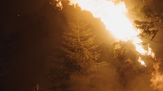 A record heat wave and deepening drought left much of California’s forests and hillsides bone dry ahead of what’s traditionally been the peak of fire season when hot winds can quickly whip a spark into fast-moving flames.(AFP)