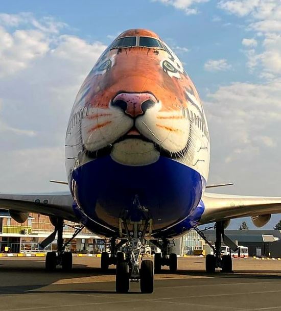 The Indian aircraft that reached Namibia on Thursday to bring eight cheetahs from the African nation to India. (India in Namibia/Twitter)