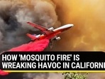 HOW ‘MOSQUITO FIRE’ IS WREAKING HAVOC IN CALIFORNIA HOW ‘MOSQUITO FIRE’ IS WREAKING HAVOC IN CALIFORNIA