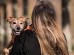 Rabies to ringworm; 7 diseases you can get from pets