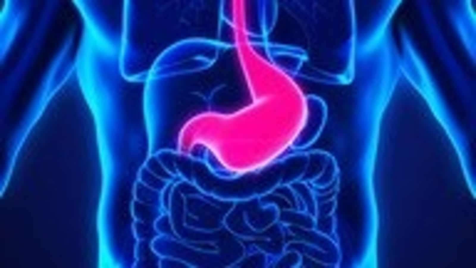 Gastrointestinal tract disorders and their causes that you should watch out for