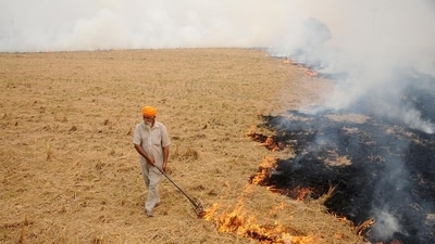 The Punjab and Delhi governments have dropped a plan to pay incentive to farmers for not burning paddy stubble. (HT File) The Punjab and Delhi governments have dropped a plan to pay incentive to farmers for not burning paddy stubble. (HT File)
