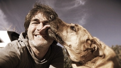 Is it safe to let your dog lick your face? Here's what vets say (Pixabay) Is it safe to let your dog lick your face? Here's what vets say (Pixabay)