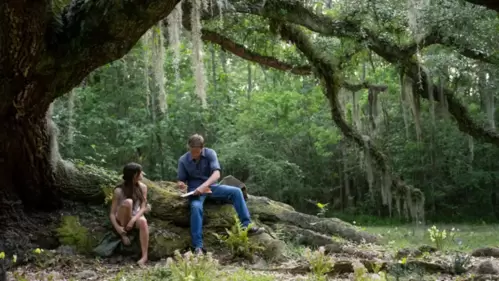 A still from Where The Crawdads Sing. A still from Where The Crawdads Sing.