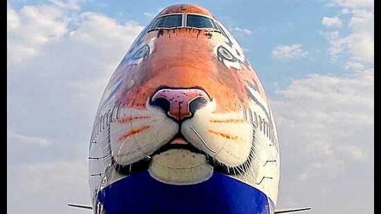 A customised aircraft will fly the cheetahs. (Twitter)