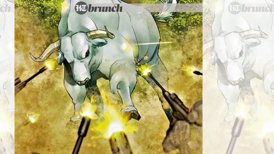 Meet White Bull