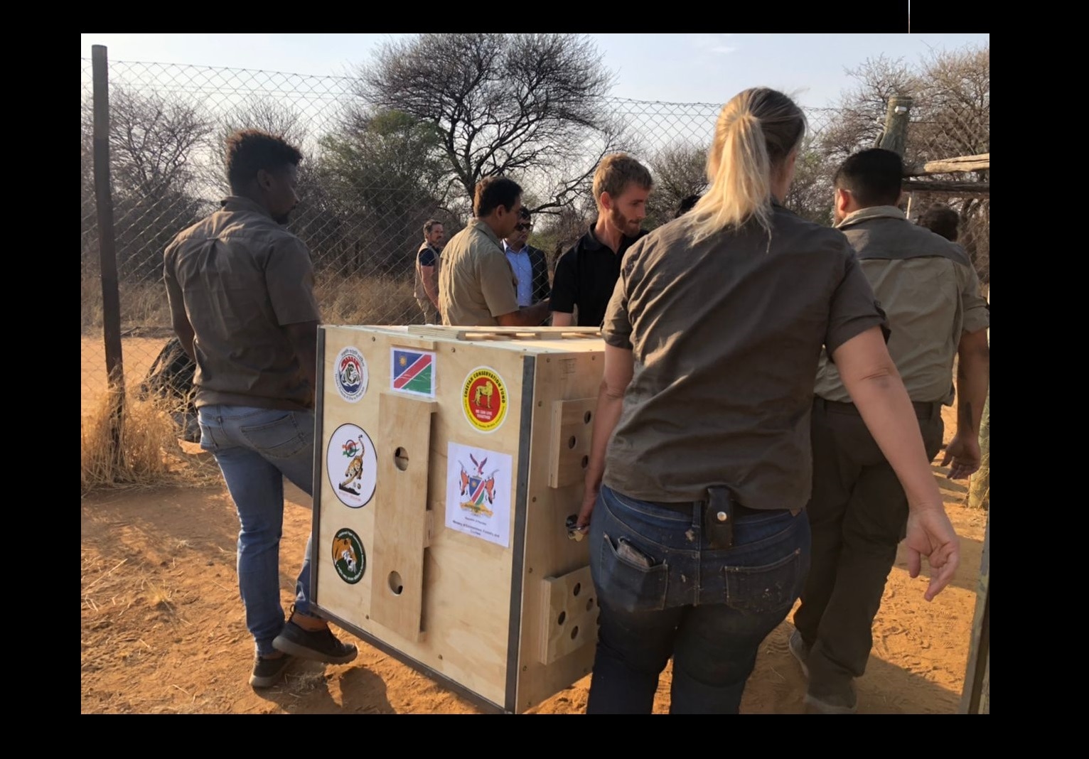 Photo credit: Cheetah Conservation Fund.&nbsp;