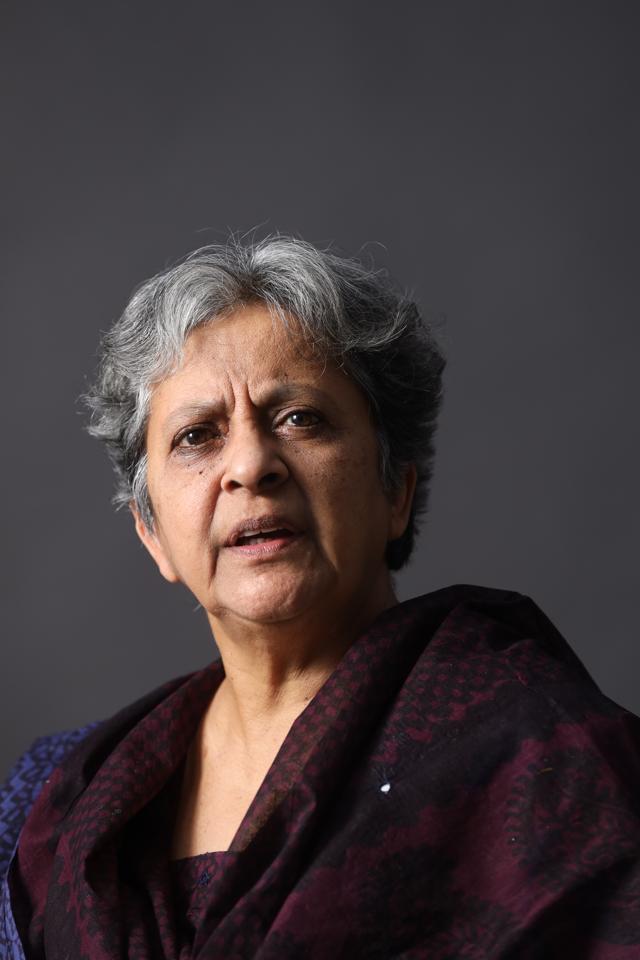 Gita Ramaswamy (Courtesy Navayana) Gita Ramaswamy (Courtesy Navayana)