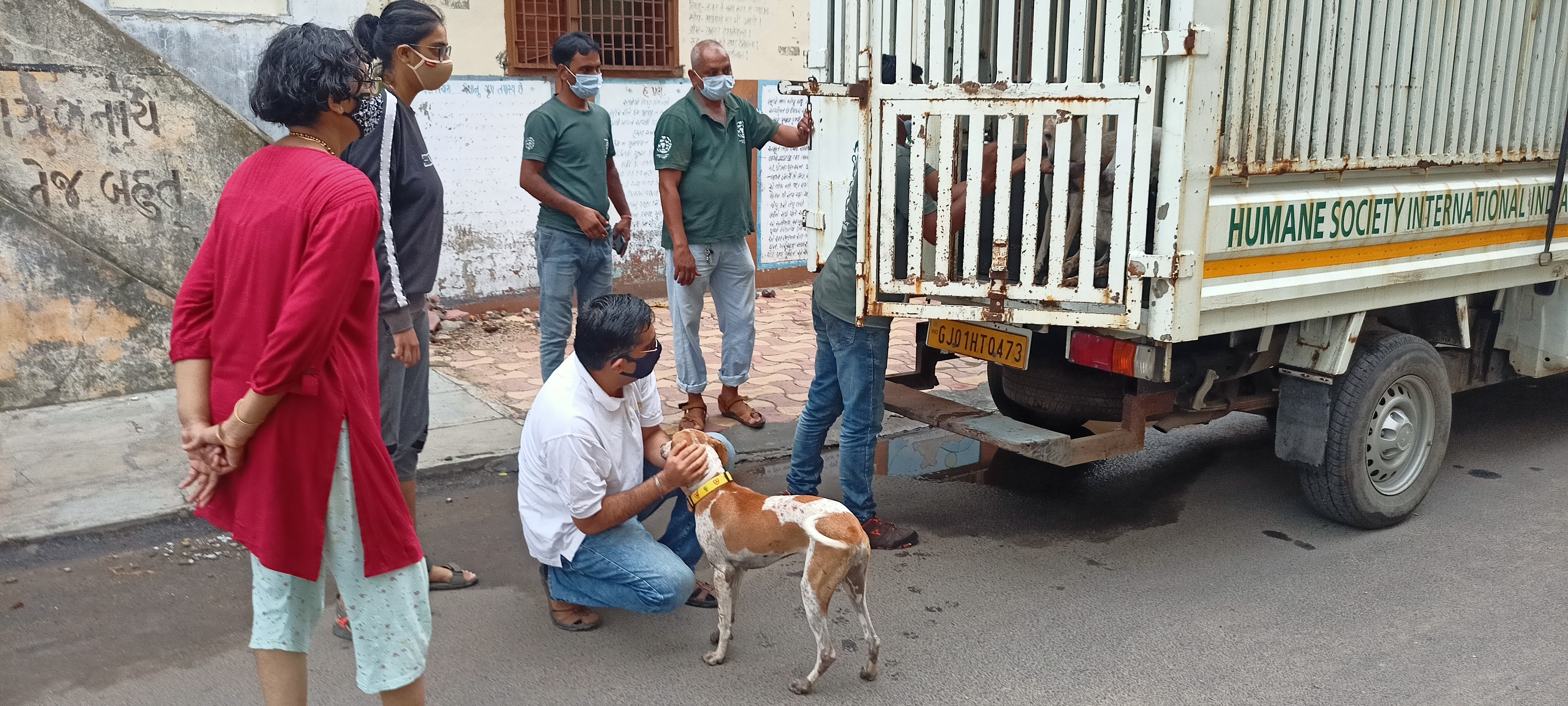 The only humane and legal way to control the stray dog population is to undertake proper and regular sterilisation drives. Cities will do well to emulate the Vadodara plan. (Humane Society International) The only humane and legal way to control the stray dog population is to undertake proper and regular sterilisation drives. Cities will do well to emulate the Vadodara plan. (Humane Society International)