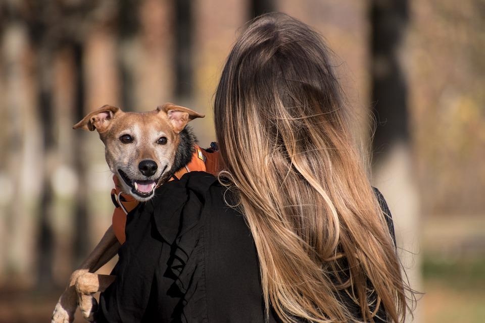 Rabies to ringworm; 7 diseases you can get from pets (Pixabay) Rabies to ringworm; 7 diseases you can get from pets (Pixabay)