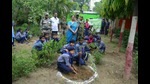 Scouts busy planting trees in Prayagraj. (HT PHOTO) Scouts busy planting trees in Prayagraj. (HT PHOTO)
