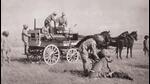 Around 60 years ago, Chhatrapati Shahu Maharaj from Kolhapur brought cheetahs from Africa to his kingdom. (SOURCED) Around 60 years ago, Chhatrapati Shahu Maharaj from Kolhapur brought cheetahs from Africa to his kingdom. (SOURCED)