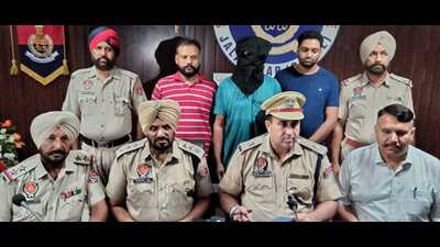 Jalandhar: One held for killing woman over felling of trees