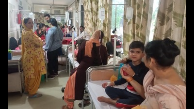 At the civil hospital in Sector 6, Panchkula, around 90 fever patients are being admitted daily at the emergency wing. (Sant Arora/HT) At the civil hospital in Sector 6, Panchkula, around 90 fever patients are being admitted daily at the emergency wing. (Sant Arora/HT)