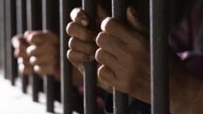 Seven more from different parts of Jammu and Kashmir were detained under the Public Safety Act (PSA) (Representative use)