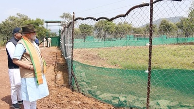 "The biodiversity that had become extinct and the link that got disconnected for decades, today we have a chance to reconnect it. Today the cheetah has returned to the soil of India. And I would also say that along with these cheetahs, the nature-loving consciousness of India has also been awakened with full force," said PM Modi. (ANI/ PIB) "The biodiversity that had become extinct and the link that got disconnected for decades, today we have a chance to reconnect it. Today the cheetah has returned to the soil of India. And I would also say that along with these cheetahs, the nature-loving consciousness of India has also been awakened with full force," said PM Modi. (ANI/ PIB)