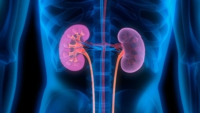 Is it healthy for kidney transplant recipients to limit their protein intake? (Twitter/AshfordIns) Is it healthy for kidney transplant recipients to limit their protein intake? (Twitter/AshfordIns)