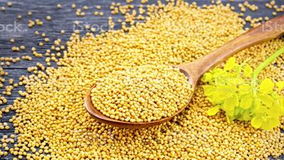The Uttar Pradesh cabinet has decided that a sum of ₹8.67 crore would be spent on subsidy for distribution of certified seeds of mustard and ragi. (REPRESENTATIVE IMAGE) The Uttar Pradesh cabinet has decided that a sum of ₹8.67 crore would be spent on subsidy for distribution of certified seeds of mustard and ragi. (REPRESENTATIVE IMAGE)