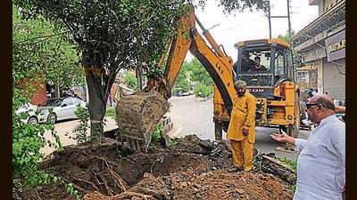 A Ludhiana MC and city NGO team carrying out the drive to shift trees on Pakhowal road, Ludhiana. (HT Photo) A Ludhiana MC and city NGO team carrying out the drive to shift trees on Pakhowal road, Ludhiana. (HT Photo)