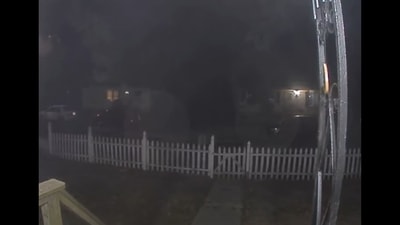 The image, taken from the viral video on YouTube, shows the view captured by the doorbell camera, moments before the cat arrived home. (YouTube/@Ring) The image, taken from the viral video on YouTube, shows the view captured by the doorbell camera, moments before the cat arrived home. (YouTube/@Ring)