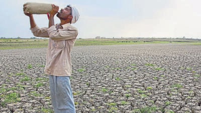 Outgrow, an AI-based farmer engagement and real-time advisory platform from WayCool Foods, announced the winners of Outgrow Kisan Pragati Awards 2022. (REPRESENTATIVE PHOTO) Outgrow, an AI-based farmer engagement and real-time advisory platform from WayCool Foods, announced the winners of Outgrow Kisan Pragati Awards 2022. (REPRESENTATIVE PHOTO)