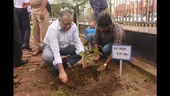General manager of North Eastern Railway Ashok Kumar planting a sapling. (HT PHOTO)