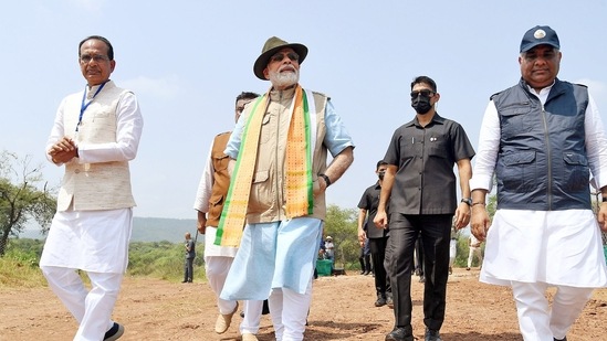 Cheetahs will help in the restoration of open forest and grassland ecosystems in India and will help conserve biodiversity and enhance the ecosystem services like water security, carbon sequestration and soil moisture conservation.(ANI/ PIB)
