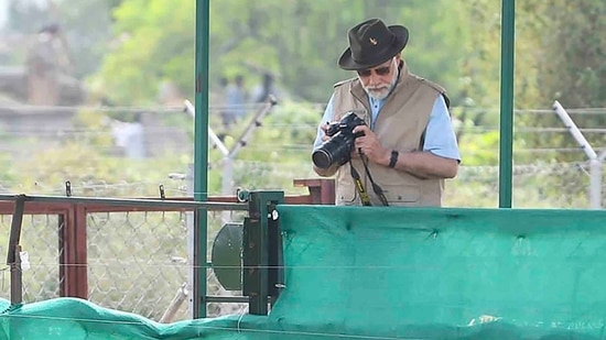 Eight cheetahs have been brought to Gwalior from Namibia in a special plane on Saturday morning under an MoU signed earlier this year with the Namibian government in order to revive the already extinct cat species.(AP)