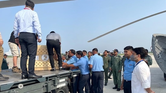 The cheetahs were brought from Namibia to India in a special cargo flight Boeing -747. (source:Twitter/@JM_Scindia)