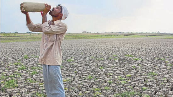 Outgrow, an AI-based farmer engagement and real-time advisory platform from WayCool Foods, announced the winners of Outgrow Kisan Pragati Awards 2022. (REPRESENTATIVE PHOTO)