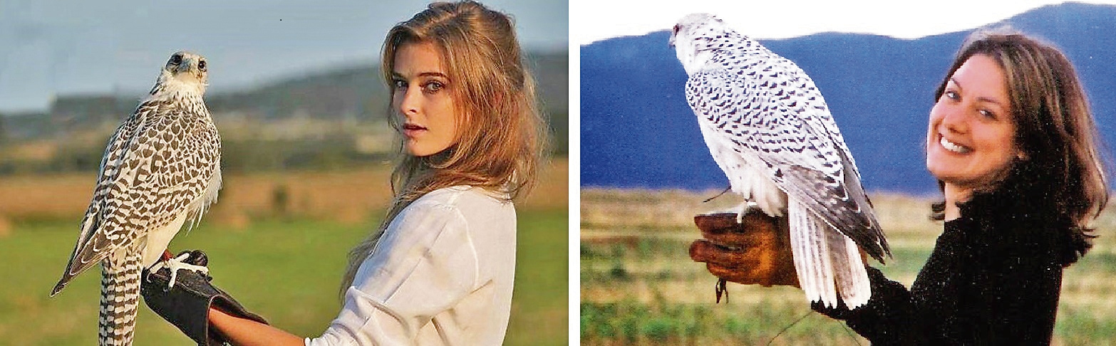 With Gyrfalcons, a lady falconer and renowned author Helen Macdonald. (PHOTOS: LITTLE DROP ENTERPRISES & HELEN MACDONALD) With Gyrfalcons, a lady falconer and renowned author Helen Macdonald. (PHOTOS: LITTLE DROP ENTERPRISES & HELEN MACDONALD)