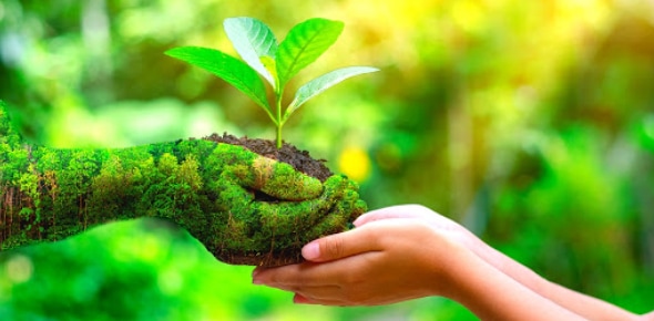 Every individual may do their part to protect the ozone layer by focusing on an area relevant to their zodiac sign. Let us find out. Image Credit: ProProfs
