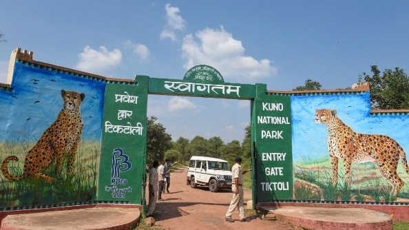 Entry gate of the Kuno National Park.