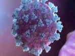 Excess weight is linked to a higher risk of COVID-19 infection: Research(REUTERS) Excess weight is linked to a higher risk of COVID-19 infection: Research(REUTERS)