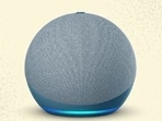 Once the Brief Mode is enabled, it will be connected to all Alexa devices.