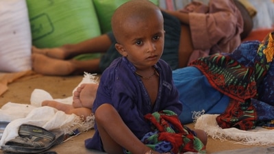 Pakistan Floods: A displaced boy sits as his family takes refuge in a camp in Pakistan. (Reuters)