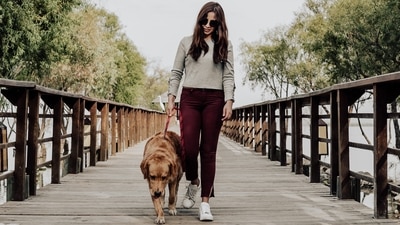 5 important dog walking tips everyone should know (pexels) 5 important dog walking tips everyone should know (pexels)