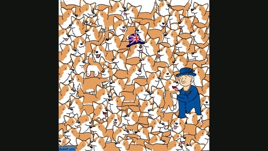 The brain teaser has three loaves of bread hidden among Corgi dogs. Can you find them all?(Facebook/Gergely Dudás)