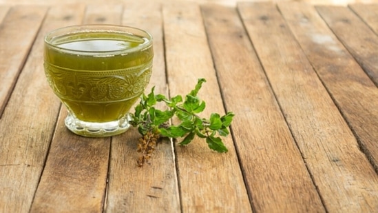 Tulsi juice is recommended by experts to be added to the daily diet. Tulsi helps in acting as a remedy for various illnesses such as asthma, bronchitis, cold cough, sinus problems, acidity and fever.(Unsplash)