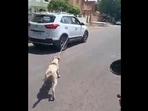 A dog seen tied to a car and being dragged around Jodhpur, Rajasthan.&nbsp;
