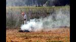 Farm fires form a significant source of pollution that chokes the Capital, especially in the run-up to, and around the festival season. An HT analysis last year found that roughly a quarter of the lung-damaging PM 2.5 particles suspended in the air around Diwali were sourced to farm fires. Given this, the failure to find a viable solution means that other steps to clean Delhi’s air may only give sub-optimal results. (HT PHOTO) Farm fires form a significant source of pollution that chokes the Capital, especially in the run-up to, and around the festival season. An HT analysis last year found that roughly a quarter of the lung-damaging PM 2.5 particles suspended in the air around Diwali were sourced to farm fires. Given this, the failure to find a viable solution means that other steps to clean Delhi’s air may only give sub-optimal results. (HT PHOTO)