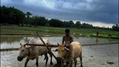 The normal date for the beginning of the monsoon withdrawal from northwest India is September 17. (PTI)