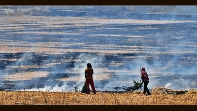 Stubble burning: New policy to attract private investment in biomass power projects soon Stubble burning: New policy to attract private investment in biomass power projects soon