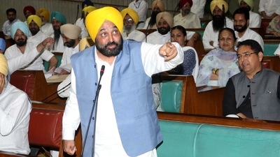 Punjab chief minister Bhagwant Mann. (File)