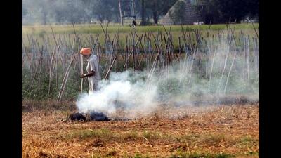 Farm fires form a significant source of pollution that chokes the Capital, especially in the run-up to, and around the festival season. An HT analysis last year found that roughly a quarter of the lung-damaging PM 2.5 particles suspended in the air around Diwali were sourced to farm fires. Given this, the failure to find a viable solution means that other steps to clean Delhi’s air may only give sub-optimal results. (HT PHOTO)
