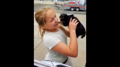 The little girl gets surprised with a puppy by her parents, (Instagram/@jennykvande) The little girl gets surprised with a puppy by her parents, (Instagram/@jennykvande)