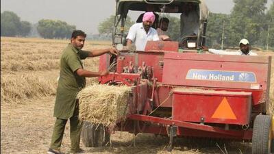 Punjab produces roughly 185 lakh tonnes of paddy straw every year. Of this, nearly half is managed in-situ and ex-situ methods. (HT file photo) Punjab produces roughly 185 lakh tonnes of paddy straw every year. Of this, nearly half is managed in-situ and ex-situ methods. (HT file photo)