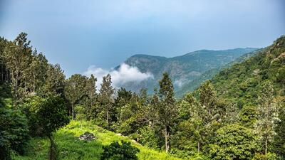 The Shervaroyan hill range in the Eastern Ghats, Tamil Nadu. (Shutterstock) The Shervaroyan hill range in the Eastern Ghats, Tamil Nadu. (Shutterstock)